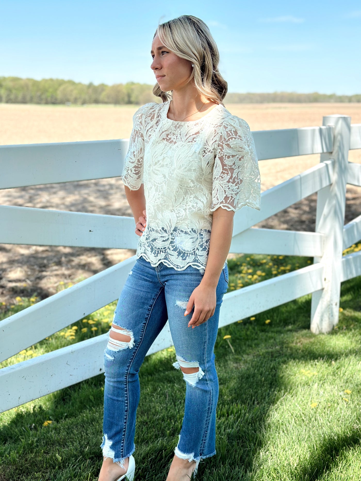 Embroidery Lace Blouse