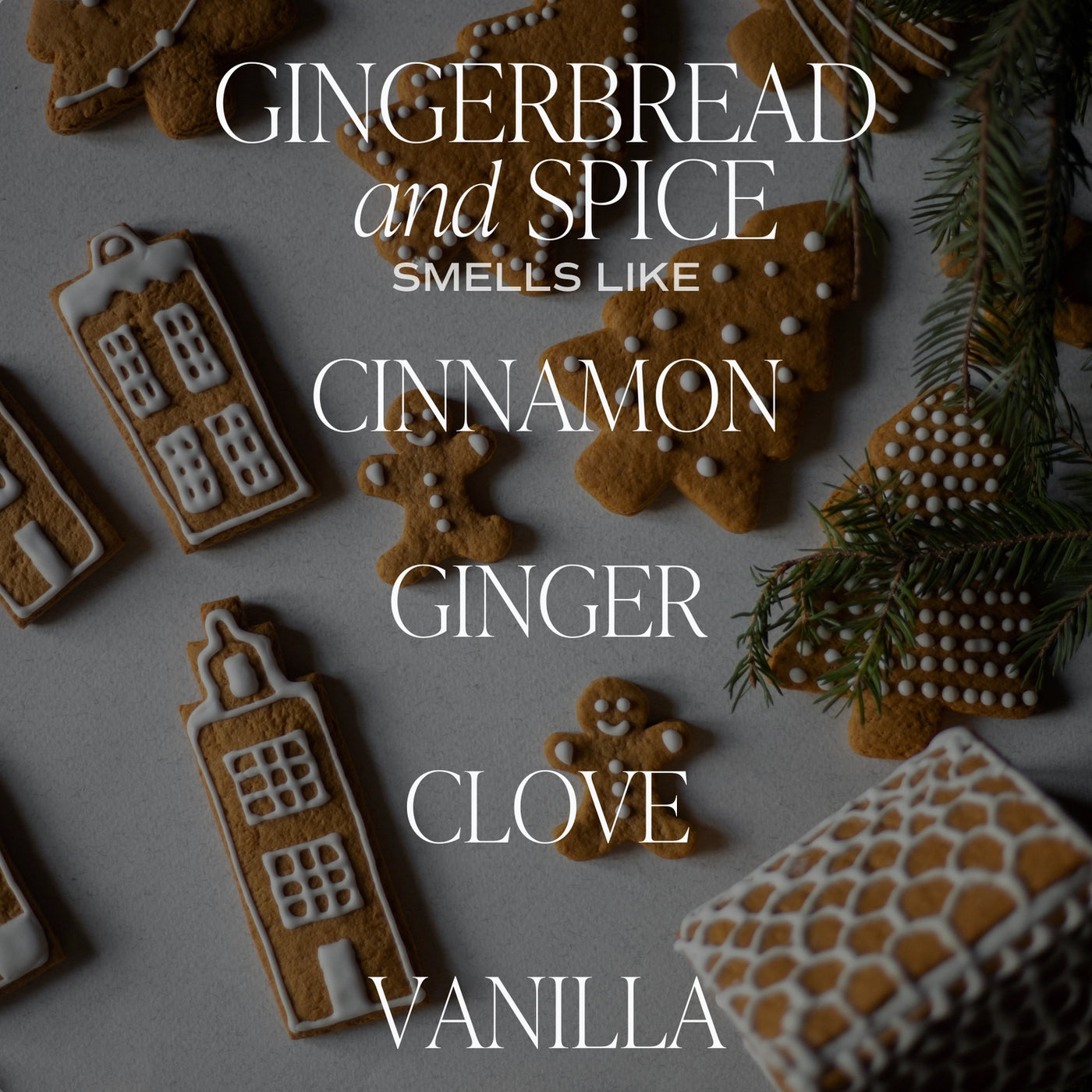 Gingerbread & Spice Soy Candle