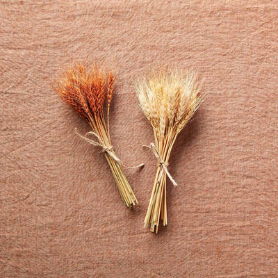 Rust Small Wheat Bundle