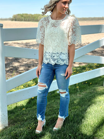 Embroidery Lace Blouse