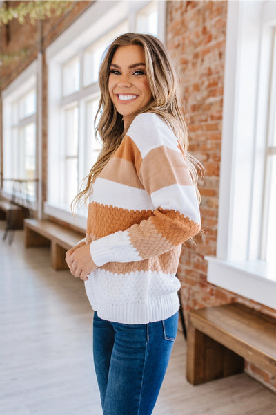 Chestnut Colorblocked Knitted Sweater