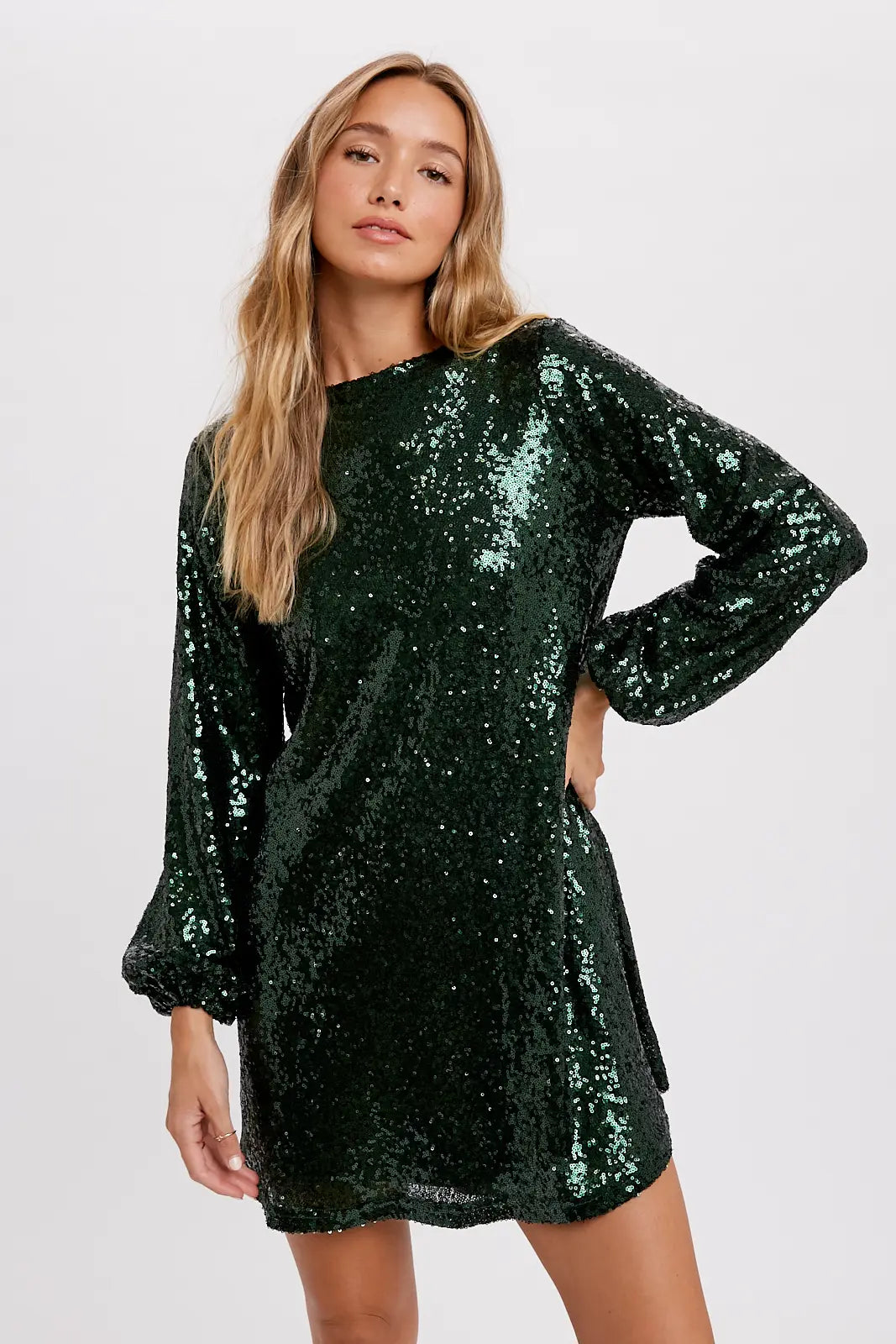 Sparkly Sequin Dress