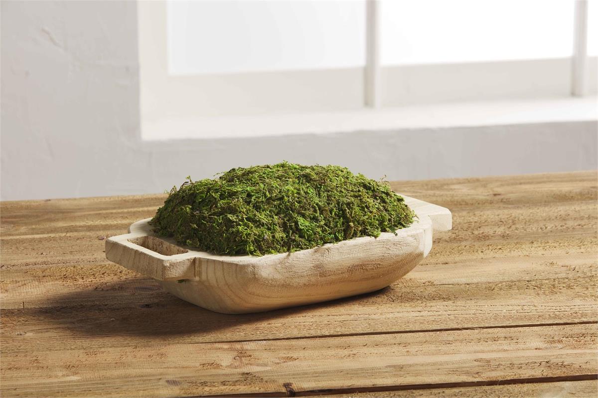 Moss Tray with Handles