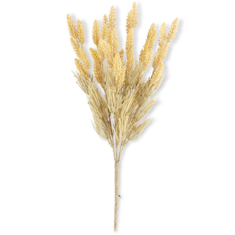 Yellow Wheat Bush