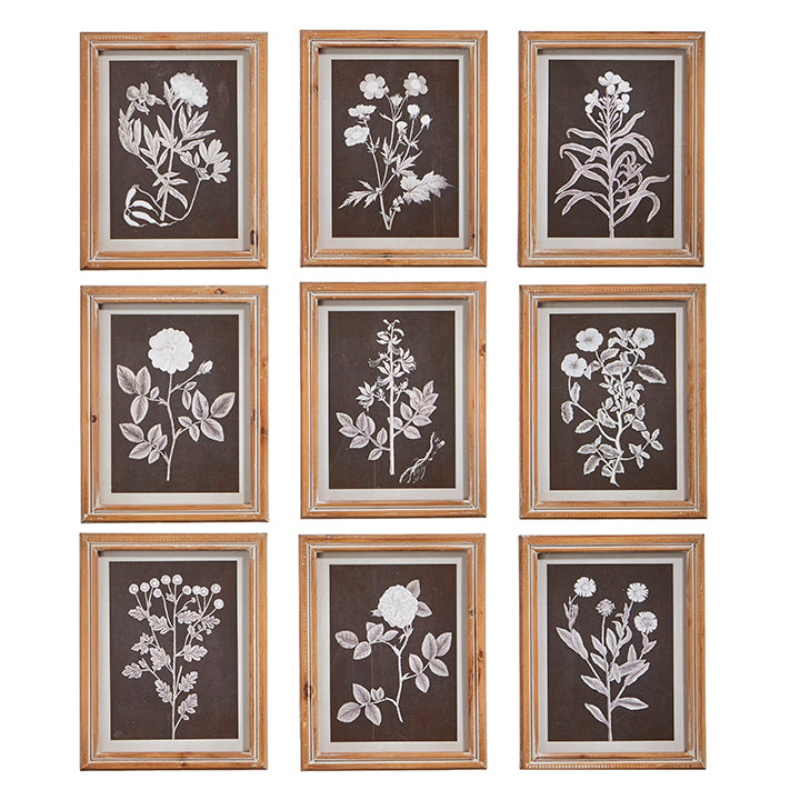 Botanical Floral Framed Print