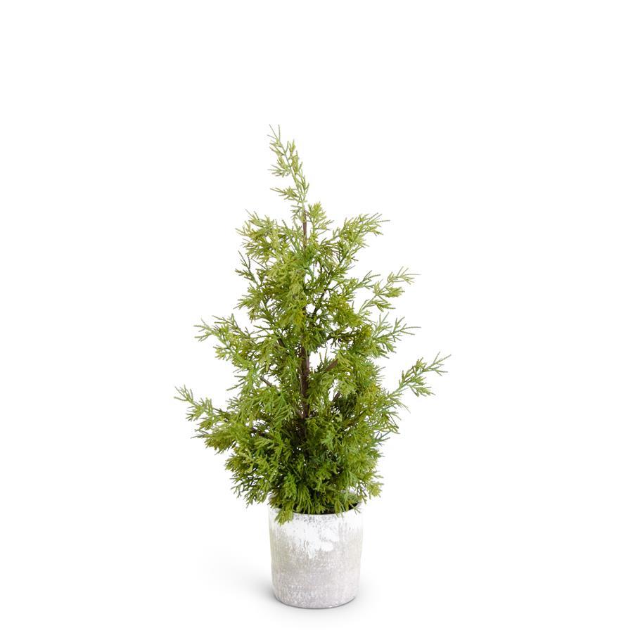 Real Touch Cypress in Gray Pot