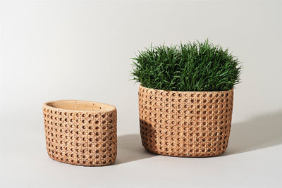 Cement Basket Weave Pots