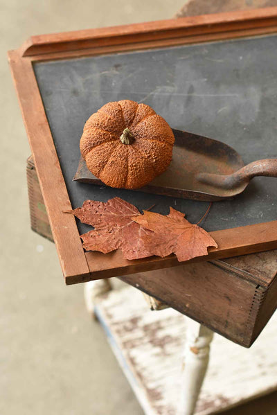 Rust Textured Pumpkins