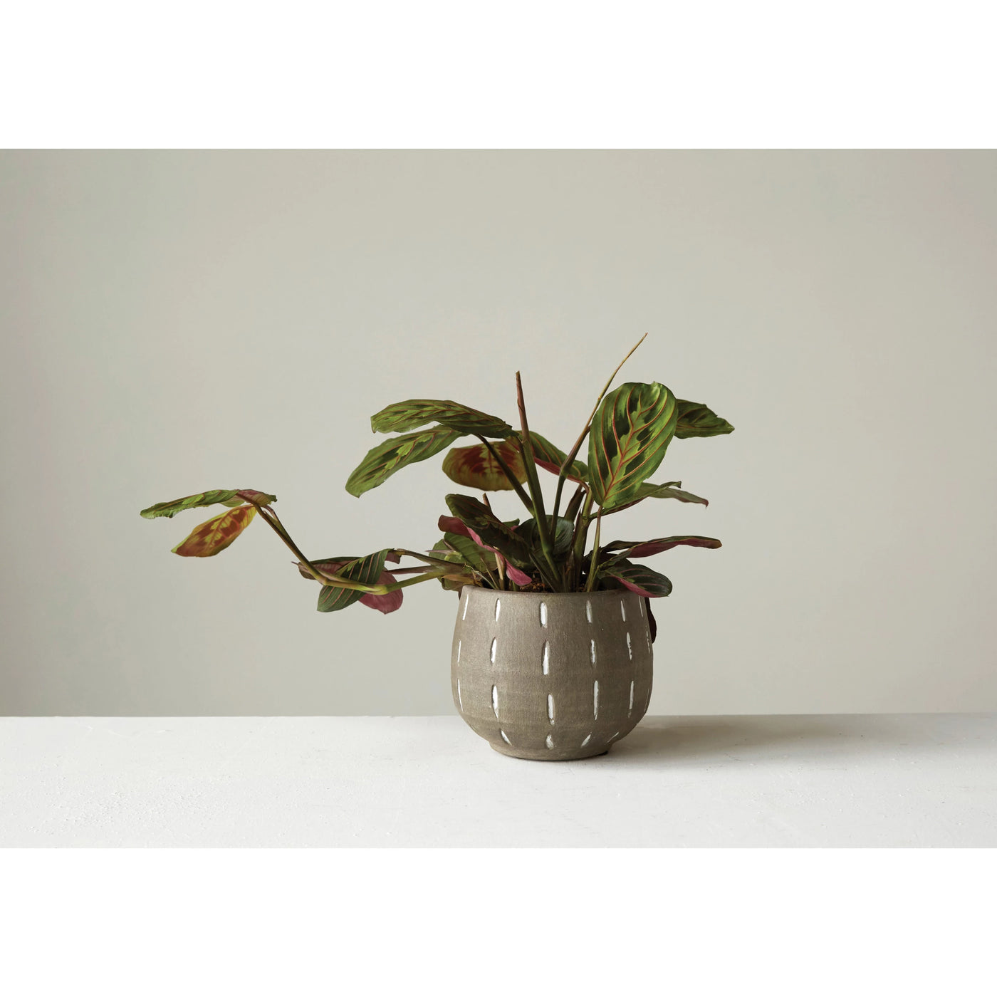 Gray Terra-cotta Planter with White Lines